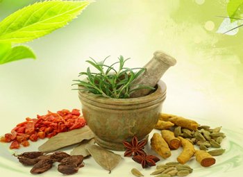 Ayurvedic company